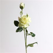 Ruža grana 65cm bijela