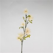 Xantium 53cm krem suha