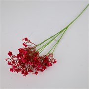 Gipsofilija 70cm beauty