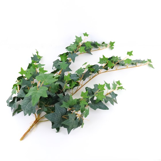 Puzavac engleski bršljan 90cm x7 zaprašeni zelena