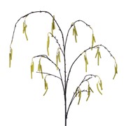 Lijeska grana s cvjetovima 148cm zelena