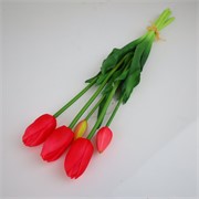 Tulipan x5 47cm beauty
