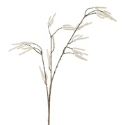 Grana zaleđena 30x15 h95cm transparent
