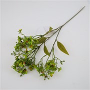 Daphne/Likovac suhi 72cm maslinasta