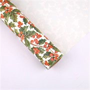 Rola kartopak Aquifolium božikovina 1x25m bijela