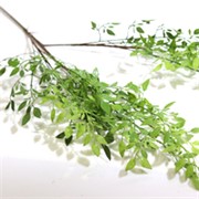 Grana Nandine 100cm zelena