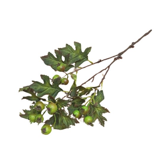 Grana gloga 70cm smeđa
