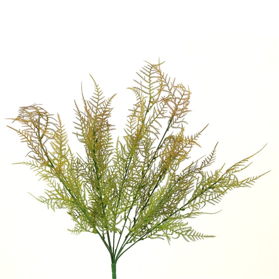 Plumosum grm 53cm zelena/smeđa