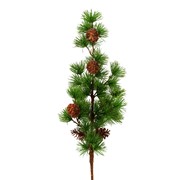 Grana bora sa šišarkama 77cm zelena