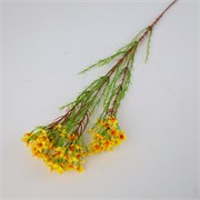 Wax flower 78cm žuta