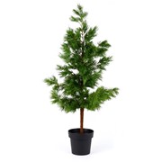 Bor 120cm u posudi zelena
