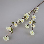 Cvijet grana 100cm krem