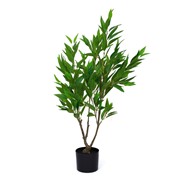 Umjetno drvo Eucalyptus Parvifolia 100cm