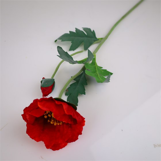 Mak 69cm 1c+1p t.crvena