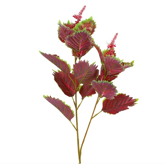 Grana mrtva kopriva 89cm burgundy/zelena