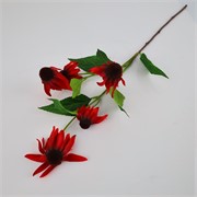 Ehinacea/rudbekija x5 75cm crvena