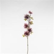 Xantium 53cm burgundy suha