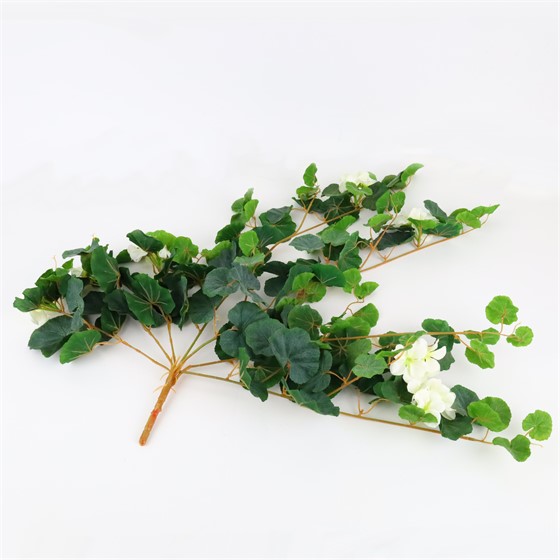 Puzavac pelargonija 76cm x7 sa 7 cvjetova zelena/bijela