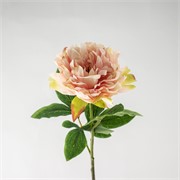 Peonija 61cm roza