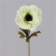 Anemona suha 35cm krem