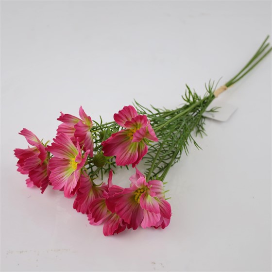 Cosmea/Uresnica buket x3 52cm t.roza