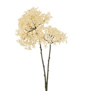 Cvijet grana suha 70cm krem
