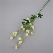 Sanicula 68cm krem