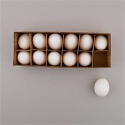 Jaja kokoši bijela 12kom