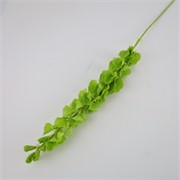 Irski zvončić 98cm zelena