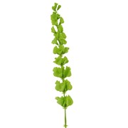 Irski zvončić 98cm zelena