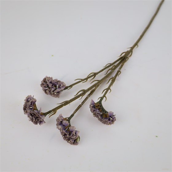 Limonium x4 suhi 64cm dusk lila