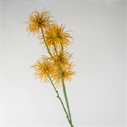 Xanthium/Dikica 81cm senf žuta