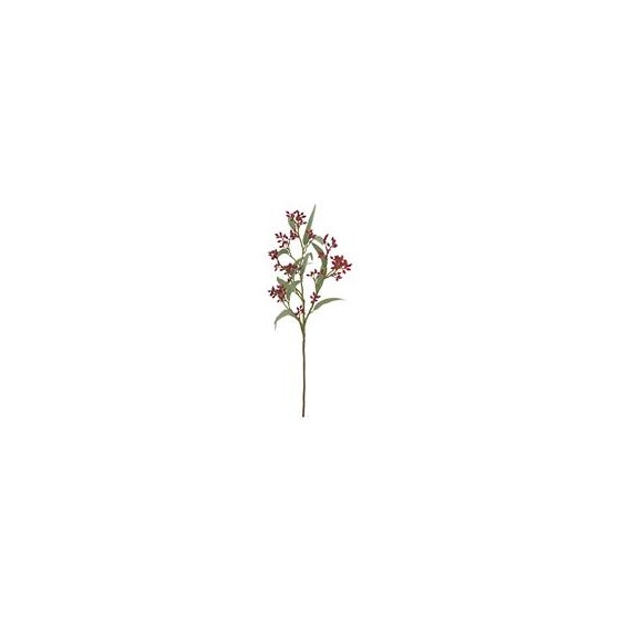 Eukaliptus pup grana 78cm t. crvena