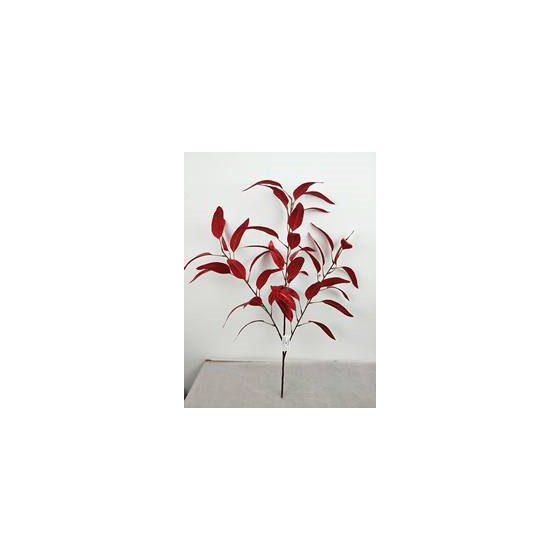 Grana eukaliptusa duguljasti listovi 72cm crvena