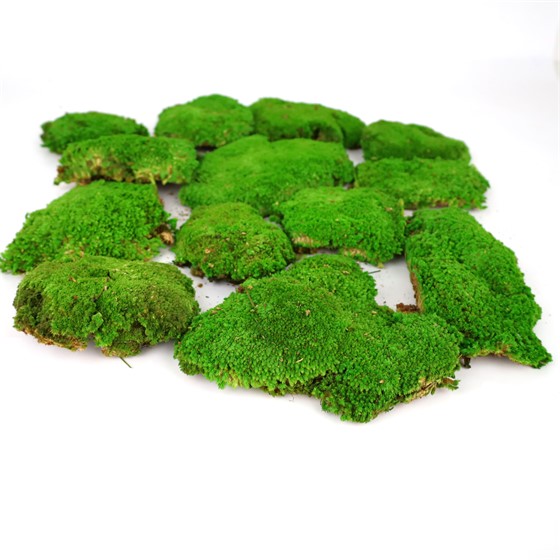 Mahovina komadi 0,16m2 zelena