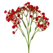 Gipsofilija 46cm crvena