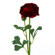 Ranunkula 47cm 1c+1p t.crvena