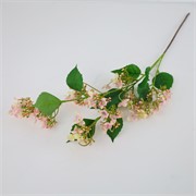 Hortenzija divlja 83cm lila