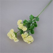 Sedum 56cm krem