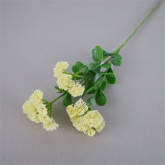 Sedum 56cm krem