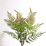 Grana paprati 60cm zelena/crvena