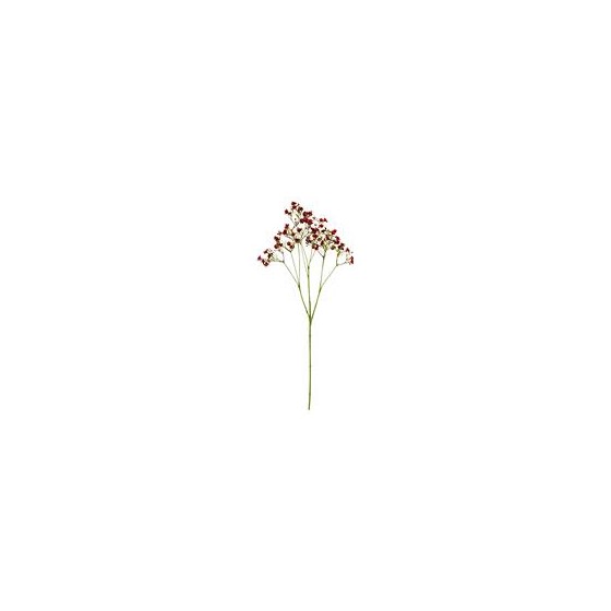 Gipsofilija 70cm purple crvena