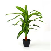 Umjetno drvo Dracena 95cm zelena/žuta