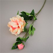 Peonija 68cm 1c+1p sv.roza