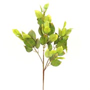 Grana list jabuke 89cm zelena/žuta