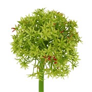 Allium 80cm zelena/crvena