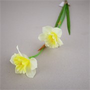 Narcis x2 58cm bijela/žuta
