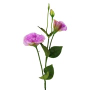 Lizijantus 67cm lila