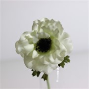 Anemona 35cm krem