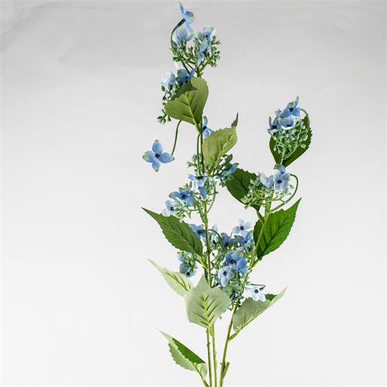 Hortenzija divlja 93cm sv.plava